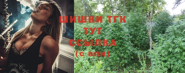 Альфа ПВП Арсеньев