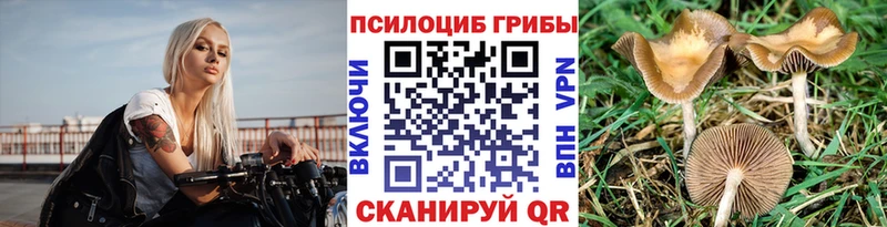 Псилоцибиновые грибы прущие грибы  Купить  Глазов 
